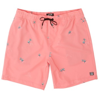 Boardshort Billabong Sundays Pigment LB